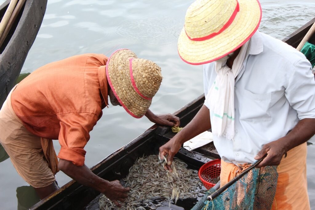 fishermen in india, fisher in kerela, fishing in allepeay-1087726.jpg